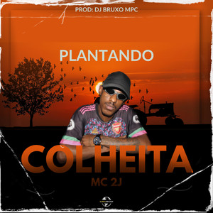 Plantando Colheita