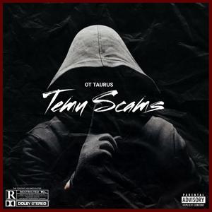 Temu Scams (Explicit)