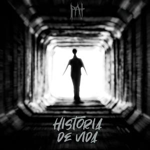 Historia de Vida (Diferentes Terminos)