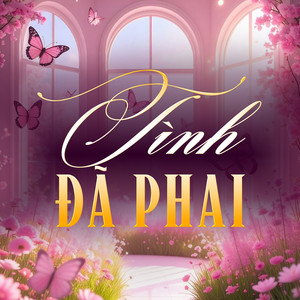 Tình Đã Phai