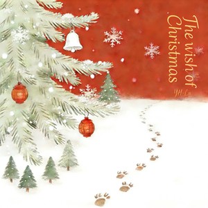 The wish of Christmas