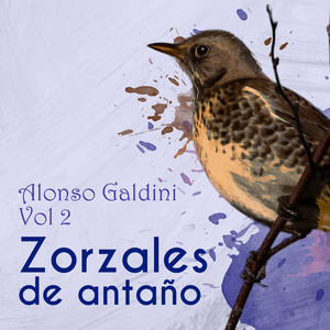 Zorzales de Antaño / Alonso Galdini, Vol. 2