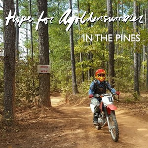 In the Pines