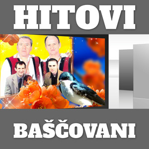 Hitovi