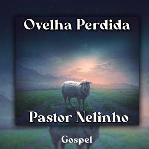 Ovelha Perdida (PASTOR NELINHO)