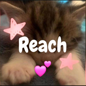 Reach