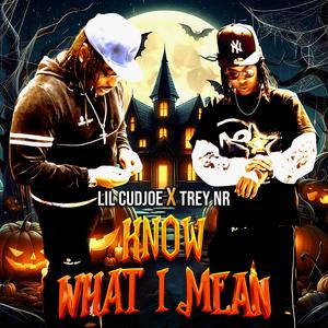 KNOW WHAT I MEAN (feat. Trey NR) (Explicit)