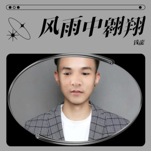 风雨中翱翔 (重制版)
