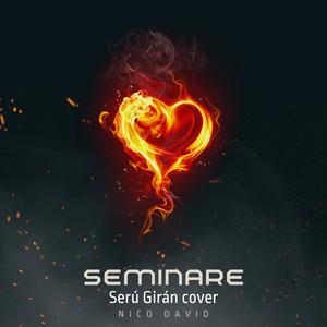 Seminare (Versión Acústica)