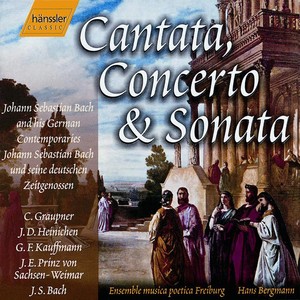 Mein Herze schwimmt im Blut, BWV 199 - Recitative: Auf diese Schmerzensreu