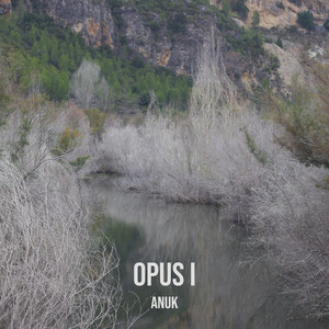 Opus I