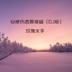 心被伤透爱难留 (DJ版)
