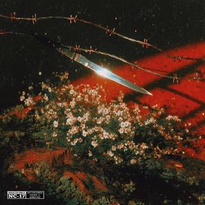 All Things Considered (Freestyle) (Explicit)