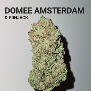 Amsterdam (Explicit)