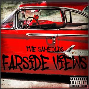 FARSIDE VIEWS (Explicit)