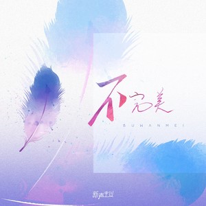 不完美 (伴奏)