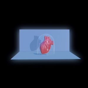 이름없는 심장 (Unnamed Heart)