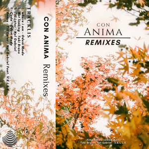 Con Anima - Remixes (Explicit)