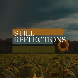 Still reflections