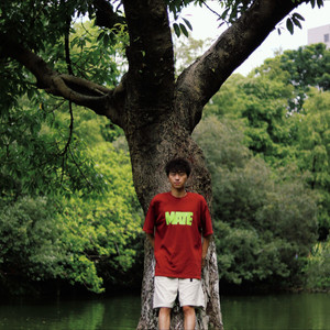 树海低吟 (inner peace version)