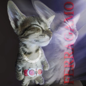 ferragamo (Explicit)