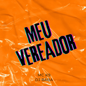 Meu Vereador