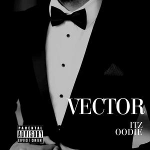 Vector (Explicit)