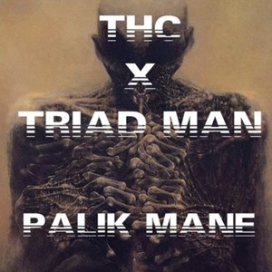 PALIK MANE (feat. Triad Man) (Explicit)