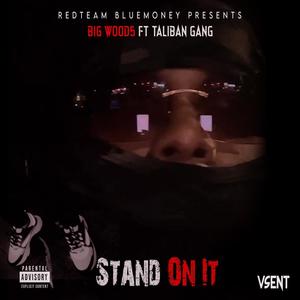 Stand On It (feat. Taliban Gang) (Explicit)