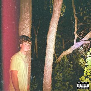 Sneaky Link (Explicit)