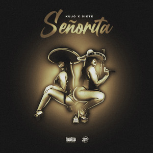 Señorita (Explicit)