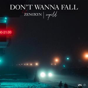 Don't Wanna Fall