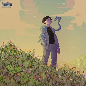 COBRA (Explicit)