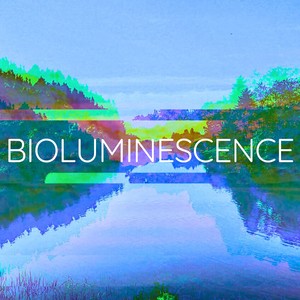 Bioluminescence
