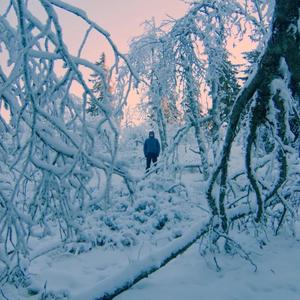 Momente (feat. trifu) (Explicit)