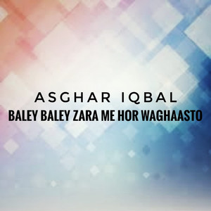 Baley Baley Zara Me Hor Waghaasto - Single