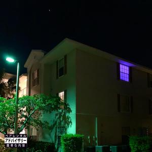 Runtz & Anime (Explicit)