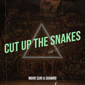 Cut up the Snakes (Explicit)