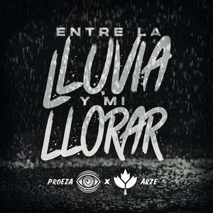 Entre La Lluvia y Mi Llorar (feat. Grupo Arze)