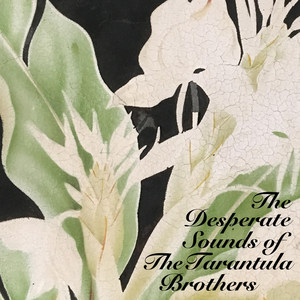 The Desperate Sounds of the Tarantula Brothers