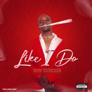 Like I Do (Explicit)