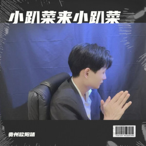 小趴菜来小趴菜