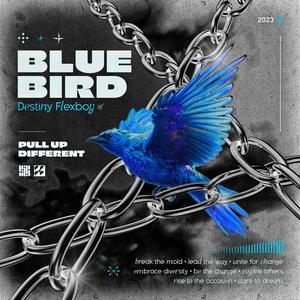 BLUE BIRD (Explicit)