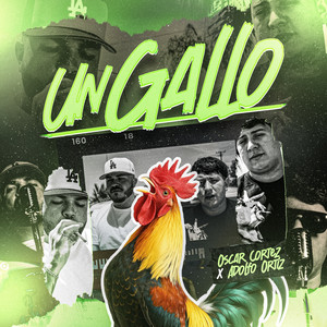 Un Gallo