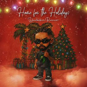 Home for the Holidays