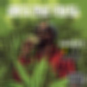 How to grow (feat. Dame Stacks) (Explicit)