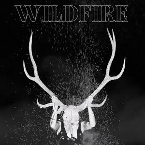 Wildfire