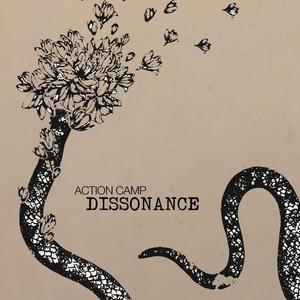 Dissonance