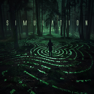 Simulation