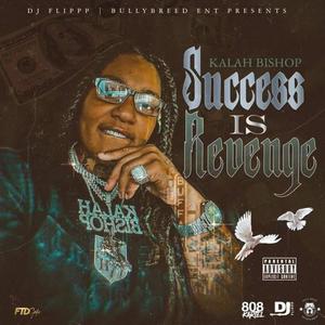 Sucess Is Revenge, Vol. 4 (Explicit)